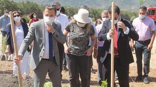 Fethiye İşletme Fakültesi'ne 500 fidan dikildi