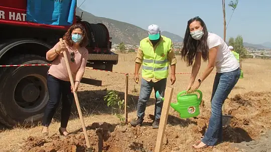 Fethiye İşletme Fakültesi'ne 500 fidan dikildi