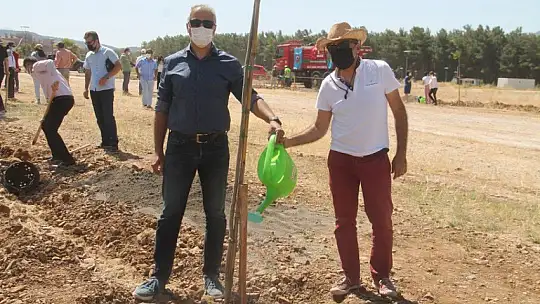 Fethiye İşletme Fakültesi'ne 500 fidan dikildi