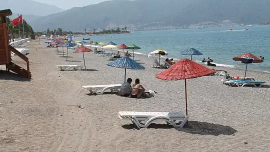 Caretta Caretta Kaplumbağaları'nın Yavru Çıkış Dönemi Başladı