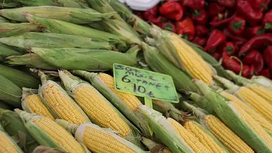 Salı pazarında zirveyi bamya ve taze fasulye paylaşıyor