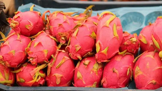 Salı pazarında zirveyi bamya ve taze fasulye paylaşıyor