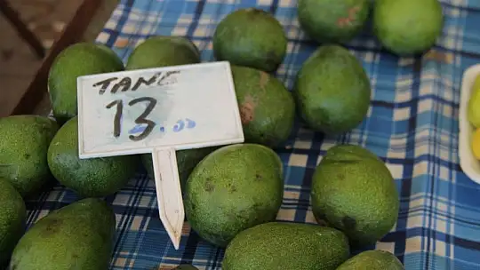 Salı pazarında zirveyi bamya ve taze fasulye paylaşıyor