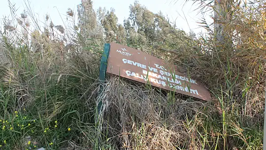 ALİ İHSAN EMRE, 'KUŞ CENNETİ'NE SAHİP ÇIKMAMIZ GEREKİYOR AMA OLMUYOR' 