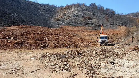 İnşaat yapılıyor denilen yanan koyda, lavanta bahçesi yapıldığı ortaya çıktı