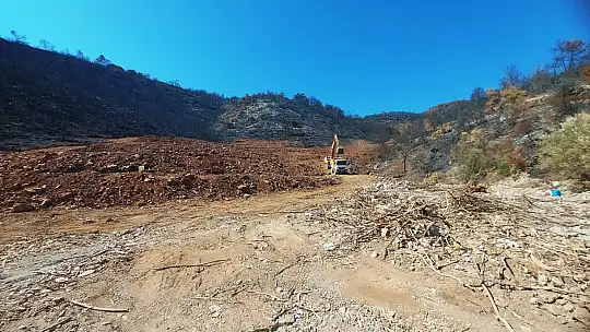 İnşaat yapılıyor denilen yanan koyda, lavanta bahçesi yapıldığı ortaya çıktı