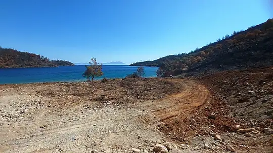 İnşaat yapılıyor denilen yanan koyda, lavanta bahçesi yapıldığı ortaya çıktı