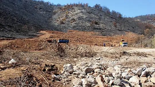 İnşaat yapılıyor denilen yanan koyda, lavanta bahçesi yapıldığı ortaya çıktı