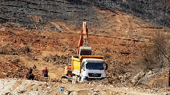 İnşaat yapılıyor denilen yanan koyda, lavanta bahçesi yapıldığı ortaya çıktı