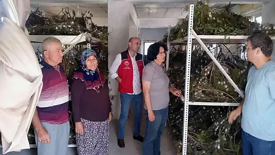 İpekböcekçiliğine destek arttı, üreticinin yüzü güldü