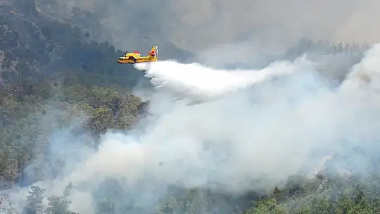 İspanyol yangın söndürme uçakları Köyceğiz'e müdahale ediyor