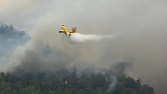 İspanyol yangın söndürme uçakları Köyceğiz'e müdahale ediyor