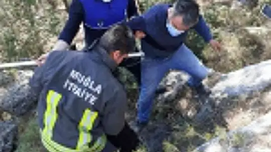 Jandarma ve Zabıta'dan ortak kurtarma operasyonu