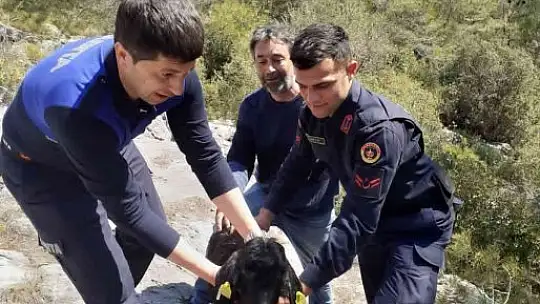 Jandarma ve Zabıta'dan ortak kurtarma operasyonu