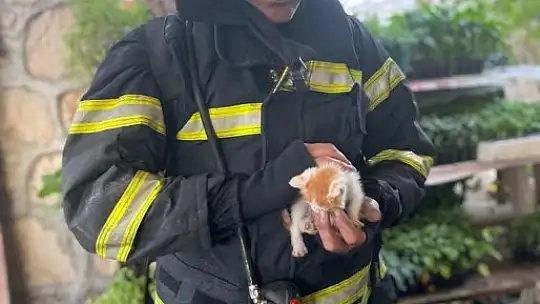 İtfaiye ekipleri, yanan evi söndürmek ve içeride bulunan kedi yavrusunu kurtarmak için seferber oldu