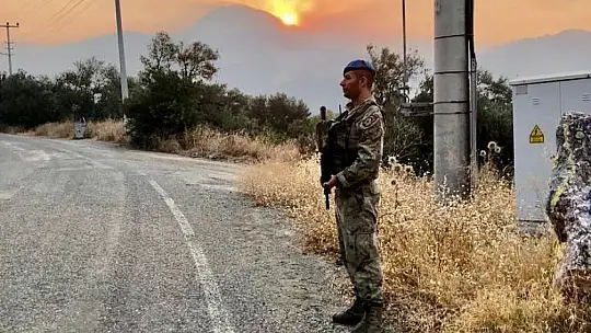 Jandarma ekipleri Datça'daki orman yangını için topyekün seferber oldu