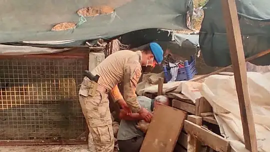 Jandarma ekipleri Datça'daki orman yangını için topyekün seferber oldu