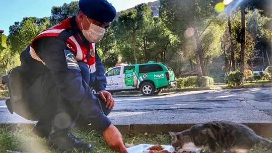 Jandarma'nın hayvan hassasiyeti