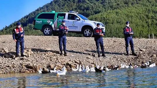 Jandarma'nın hayvan hassasiyeti