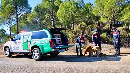 Jandarma'nın hayvan hassasiyeti