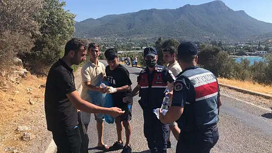 Jandarma ve vatandaşlar çevre temizliği yaptı