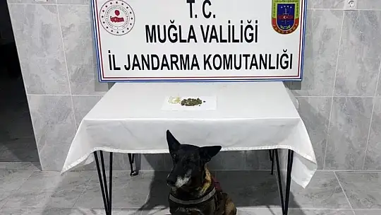 Jandarmadan 456 personelle 'Narkotik ve Huzur' uygulaması