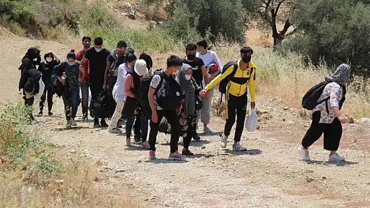 Kaçak göçmenler ormanda yakalandı