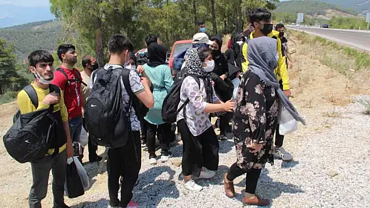 Kaçak göçmenler ormanda yakalandı