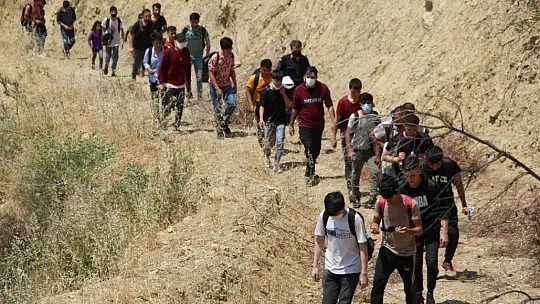 Kaçak göçmenler ormanda yakalandı