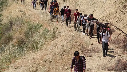 Kaçak göçmenler ormanda yakalandı