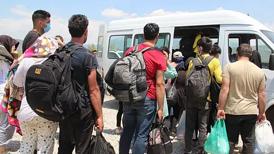 Kaçak göçmenler ormanda yakalandı