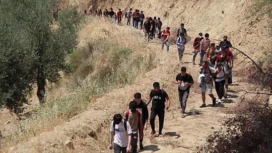 Kaçak göçmenler ormanda yakalandı