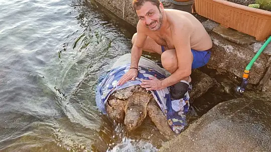 Kaplumbağa için seferber oldular