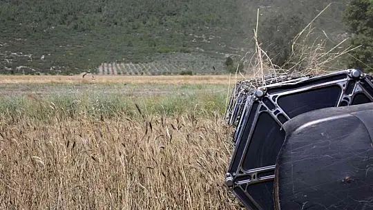 Karakılçık Buğdayları üreticiye ve ihtiyaç sahiplerine dağıtılacak