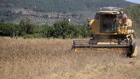 Karakılçık Buğdayları üreticiye ve ihtiyaç sahiplerine dağıtılacak