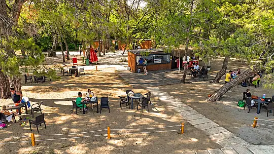 Belediye plajları uygun fiyatlarıyla ilgi görüyor