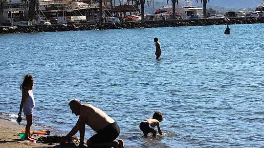 Kasım ayında denize akın ettiler