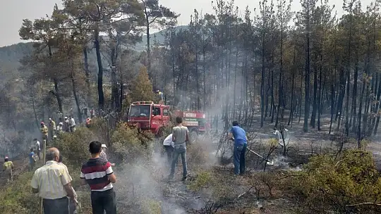 Kavaklıdere'de ikinci yangın önlendi