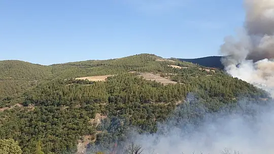 Kavaklıdere yangını büyüyor