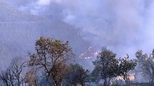 Kavaklıdere yangını sürüyor