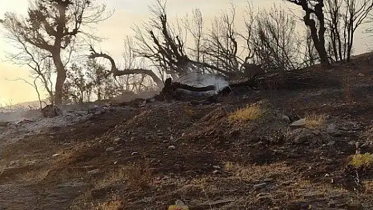 Kavaklıdere yangını sürüyor
