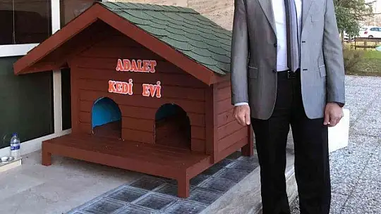 Kedi Adalet Muğla Adliyesinin maskotu oldu