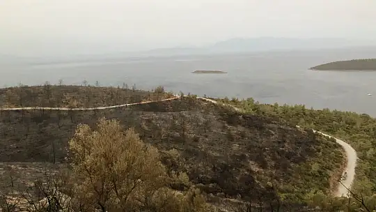 Kissebükü'nde topyekûn mücadele var