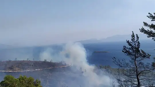 Kissebükü'nde topyekûn mücadele var