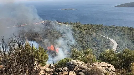 Kissebükü'nde topyekûn mücadele var