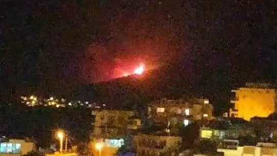 Kıyıkışlacık Gürçamlar bölgesinde orman yangını çıktı