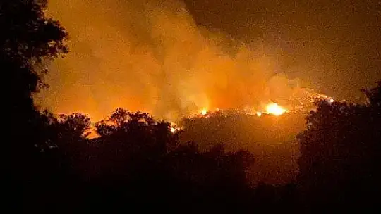 Kıyıkışlacık Gürçamlar bölgesindeki yangın Kazıklı'ya doğru ilerliyor