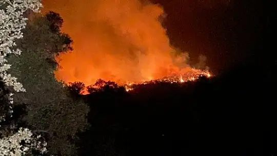 Kıyıkışlacık Gürçamlar bölgesindeki yangın Kazıklı'ya doğru ilerliyor