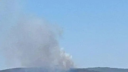 Kıyıkışlacık'ta ormanlık alanda yangın başladı