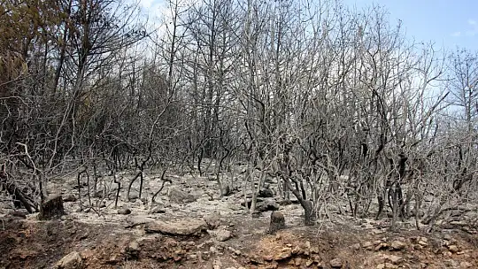 Komandolar karadan helikopterler havadan Bayır köyünü kurtarmaya çalışıyor